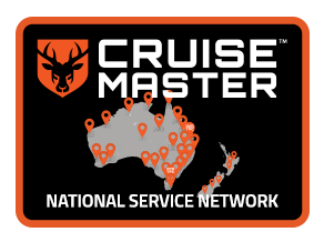National Service Network logo